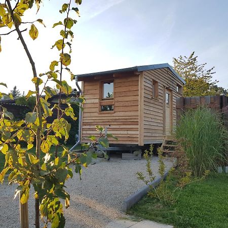 Zirbenholz Tiny House "Waldhauszeit" Am See Mucke ภายนอก รูปภาพ